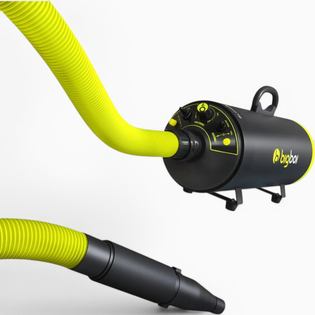 Bigboi BlowR Mini+ Car Dryer Lacktrockner