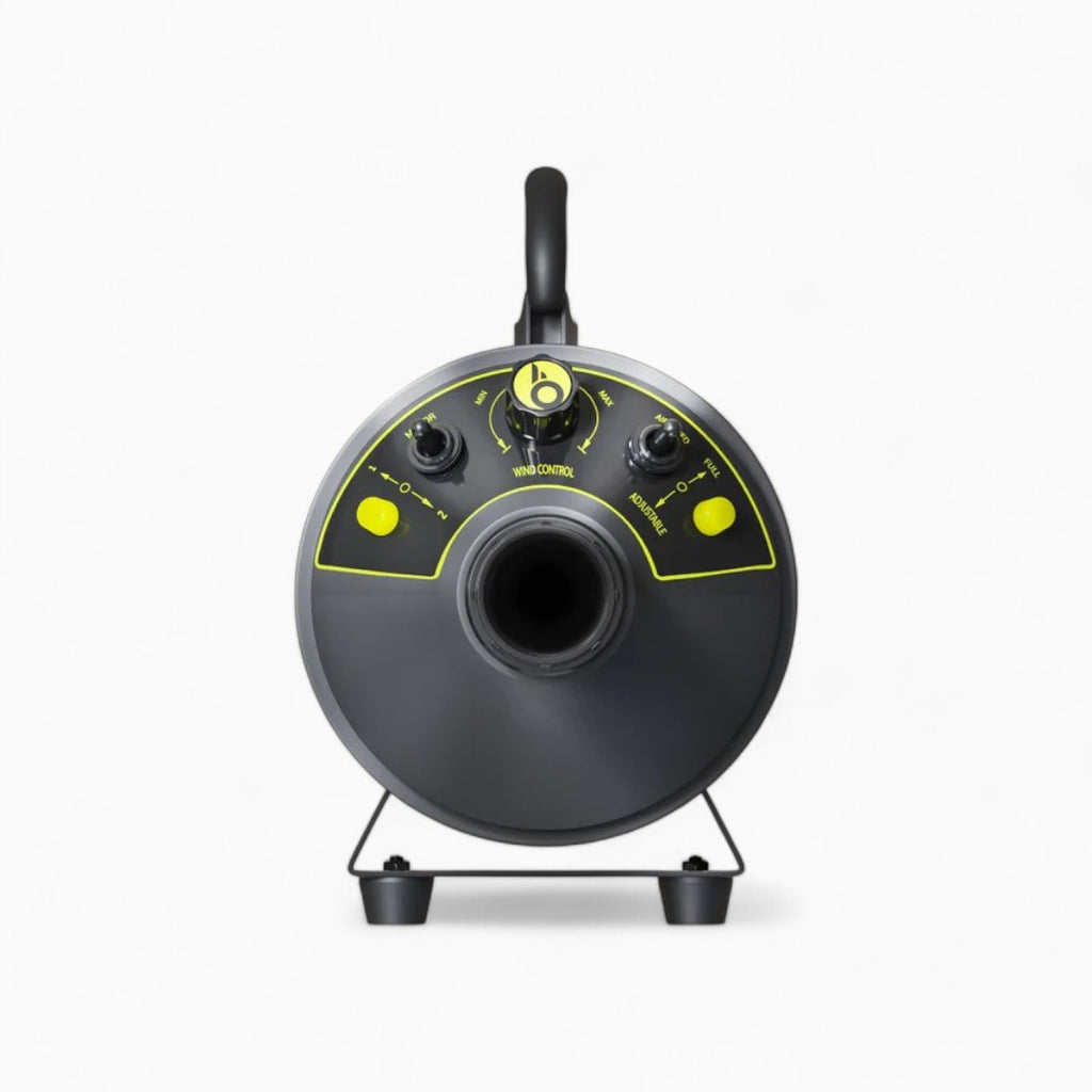 Bigboi BlowR Mini+ Car Dryer Lacktrockner