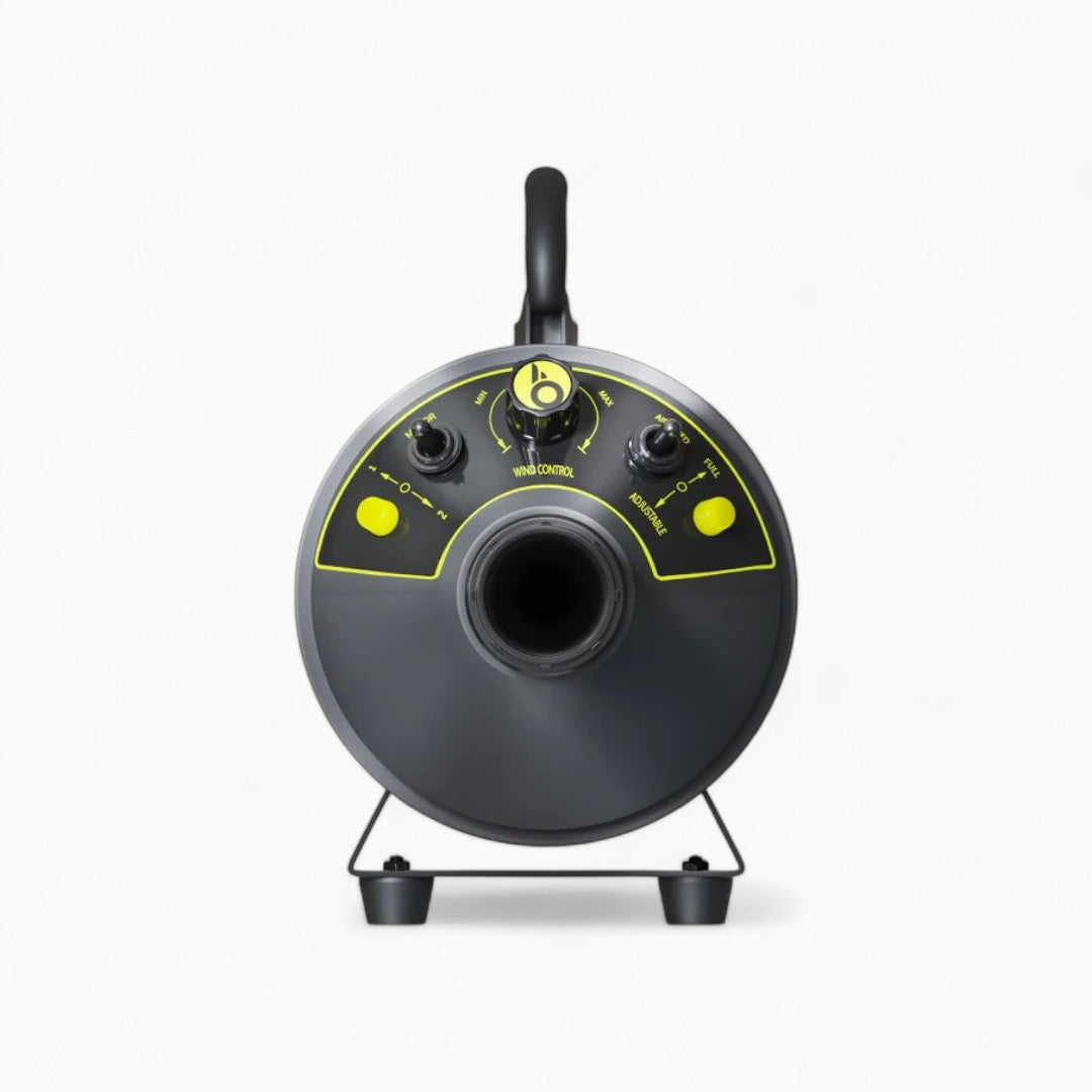 Bigboi BlowR Mini+ Car Dryer Lacktrockner